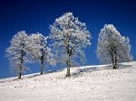 Winterlandschaft